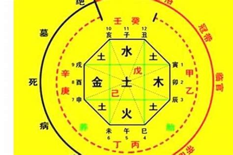 用神 水|八字喜用神到底是什么